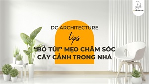 "Bỏ túi" mẹo chăm sóc cây cảnh trong nhà